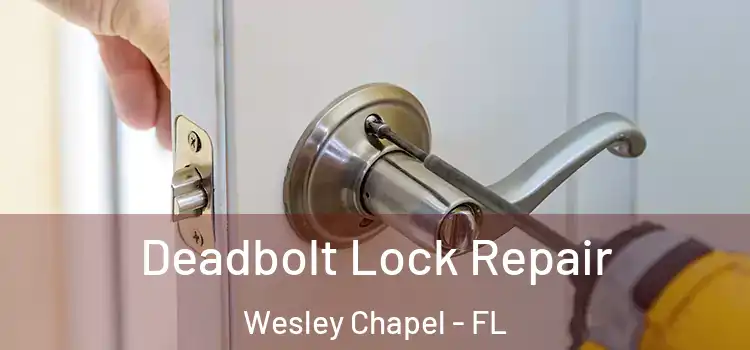 Deadbolt Lock Repair Wesley Chapel - FL
