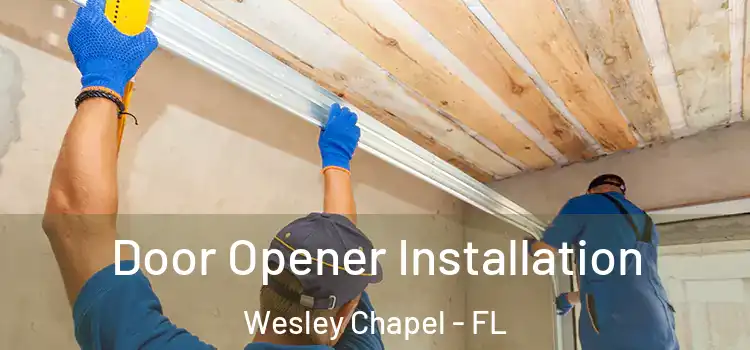 Door Opener Installation Wesley Chapel - FL