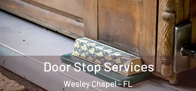 Door Stop Services Wesley Chapel - FL