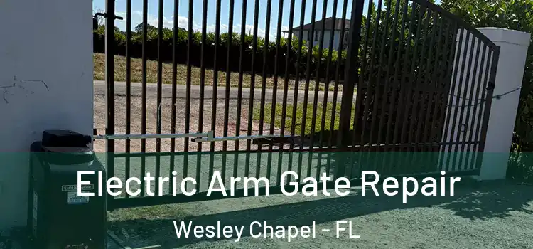  Electric Arm Gate Repair Wesley Chapel - FL