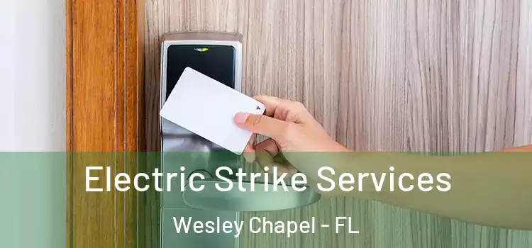  Electric Strike Services Wesley Chapel - FL