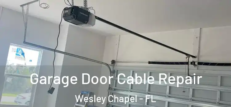  Garage Door Cable Repair Wesley Chapel - FL