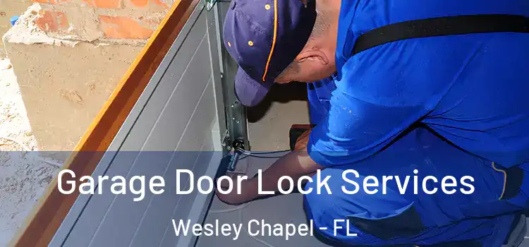 Garage Door Lock Services Wesley Chapel - FL