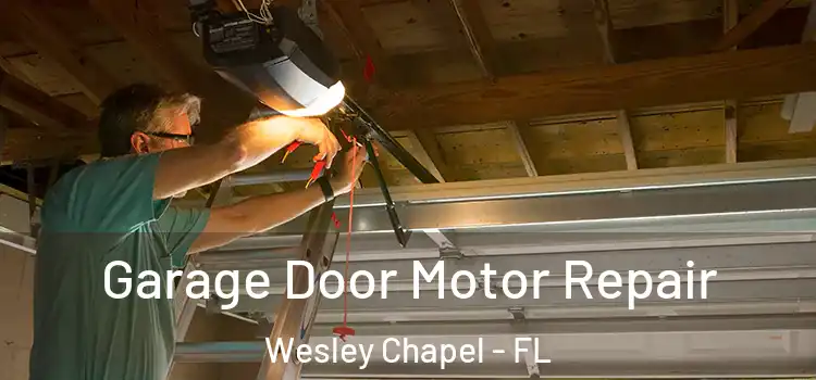  Garage Door Motor Repair Wesley Chapel - FL