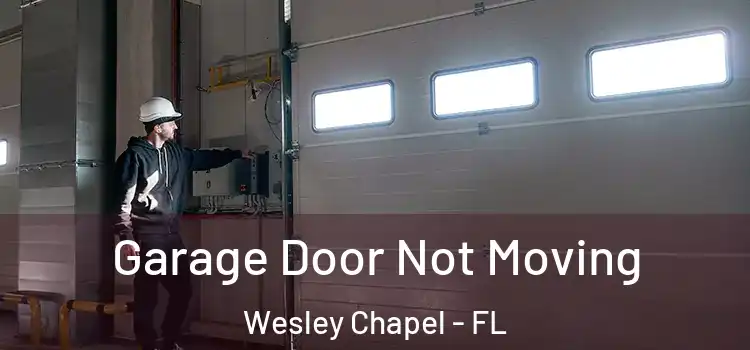  Garage Door Not Moving Wesley Chapel - FL