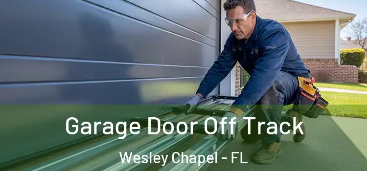  Garage Door Off Track Wesley Chapel - FL
