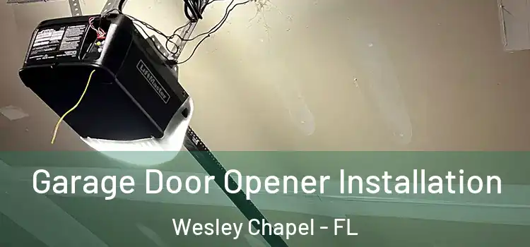  Garage Door Opener Installation Wesley Chapel - FL