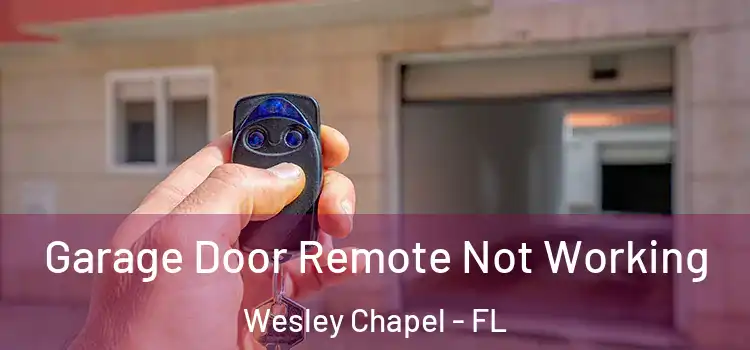  Garage Door Remote Not Working Wesley Chapel - FL