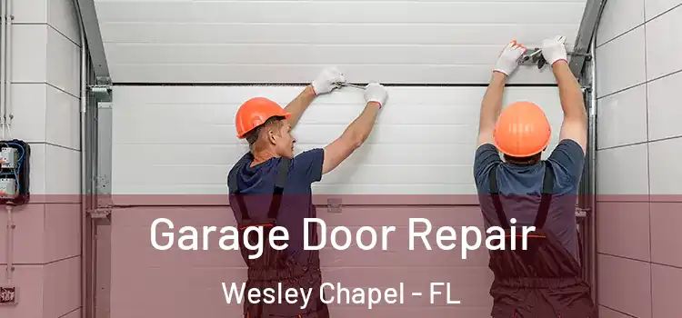  Garage Door Repair Wesley Chapel - FL
