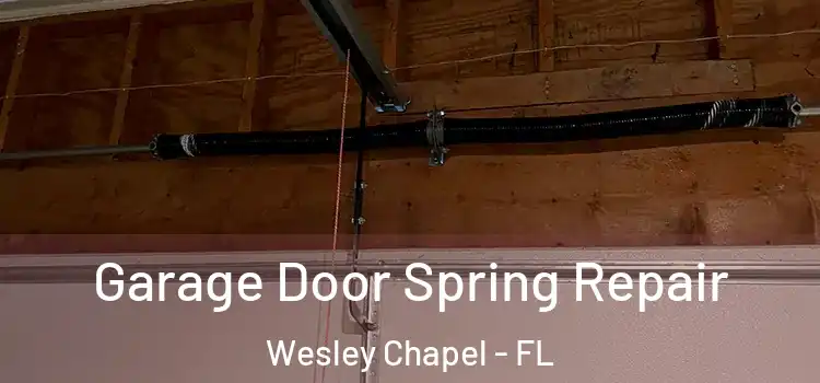  Garage Door Spring Repair Wesley Chapel - FL