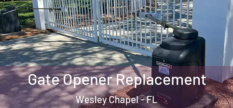 Gate Opener Replacement Wesley Chapel - FL