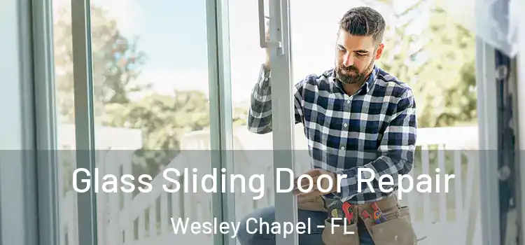 Glass Sliding Door Repair Wesley Chapel - FL