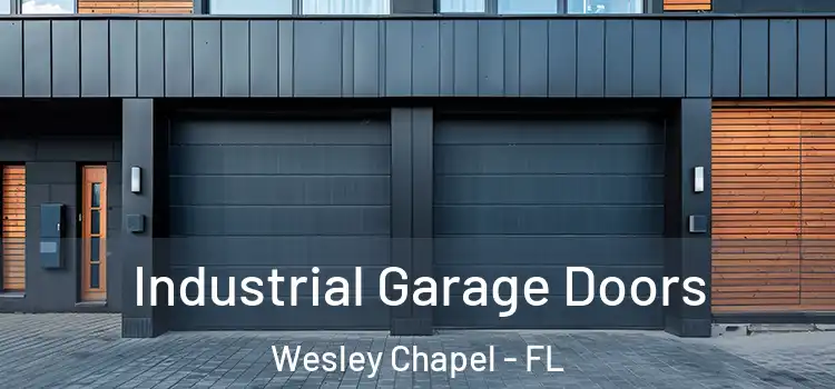  Industrial Garage Doors Wesley Chapel - FL