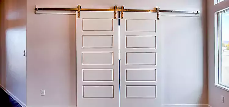 Glass Barn Door with Installation Hardware Kit Wesley Chapel