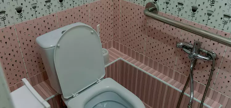 Meeting Diverse Needs With Accessible Restroom Solutions in Wesley Chapel, FL