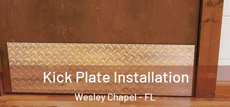 Kick Plate Installation Wesley Chapel - FL