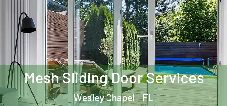 Mesh Sliding Door Services Wesley Chapel - FL
