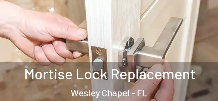 Mortise Lock Replacement Wesley Chapel - FL