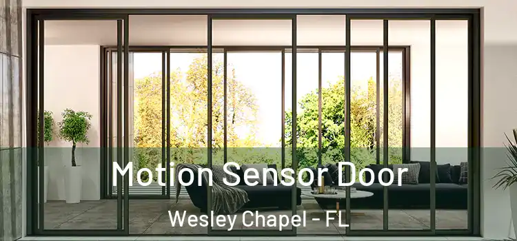  Motion Sensor Door Wesley Chapel - FL