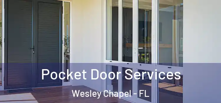  Pocket Door Services Wesley Chapel - FL