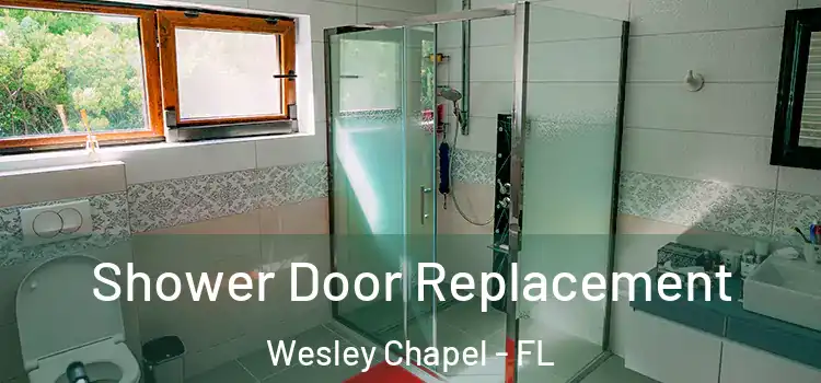 Shower Door Replacement Wesley Chapel - FL
