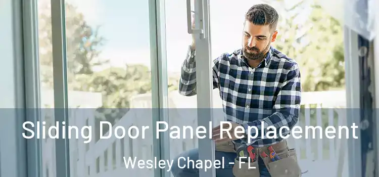  Sliding Door Panel Replacement Wesley Chapel - FL