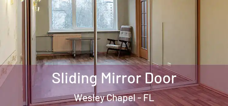  Sliding Mirror Door Wesley Chapel - FL