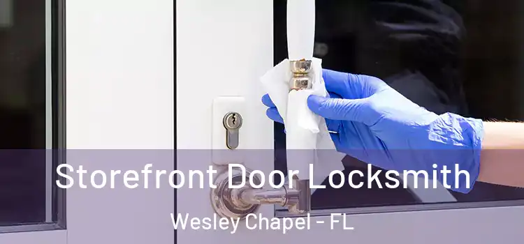 Storefront Door Locksmith Wesley Chapel - FL