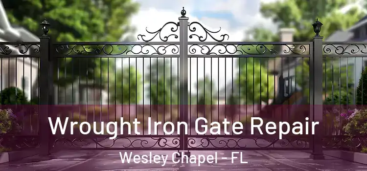 Wrought Iron Gate Repair Wesley Chapel - FL